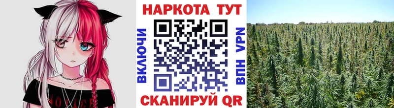 Наркошоп купить Бошки Шишки  A PVP  Гашиш  Меф  Беломорск