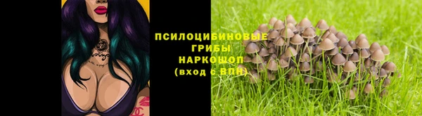герыч Иннополис