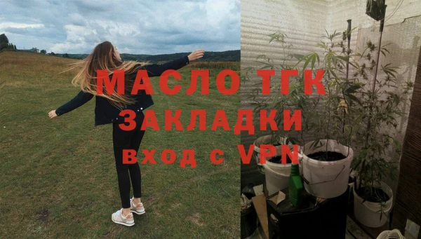 гашик Инсар