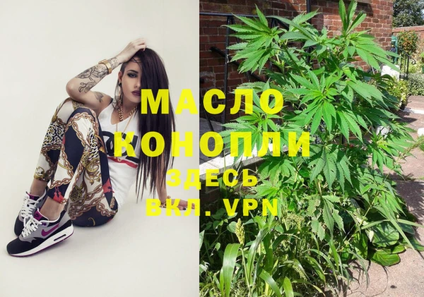 гашик Инсар