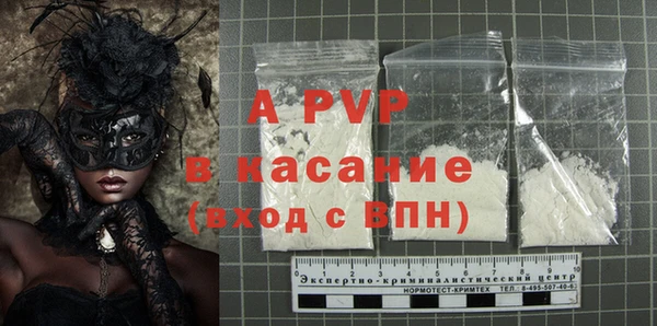 гашик Инсар