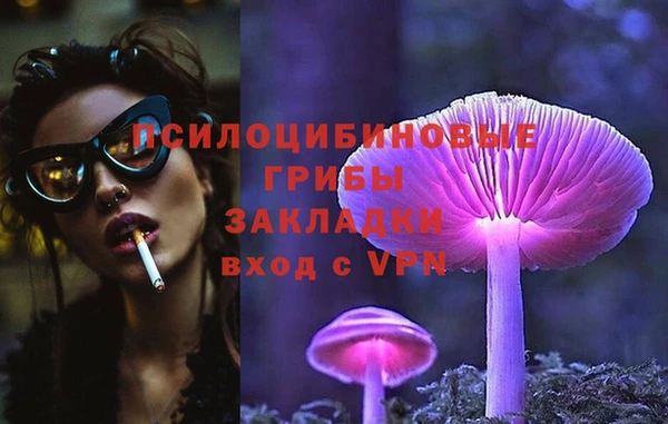 гашик Инсар