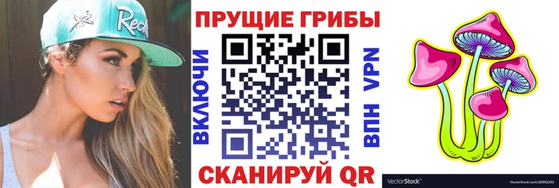 Галлюциногенные грибы мицелий  Купить где  Беломорск 