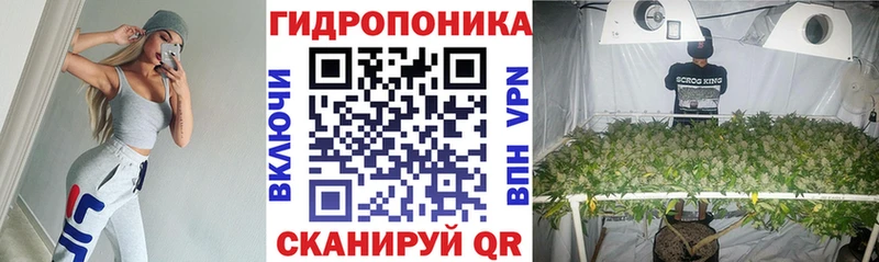 Бошки марихуана SATIVA & INDICA  Купить где  Беломорск 